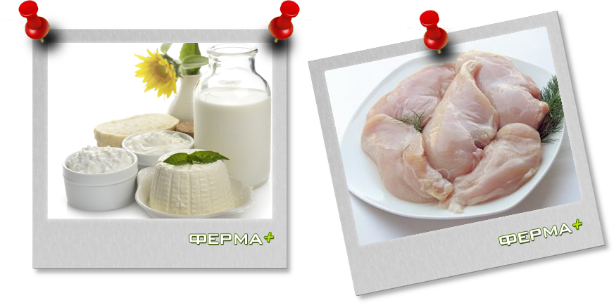 Цены на продукты